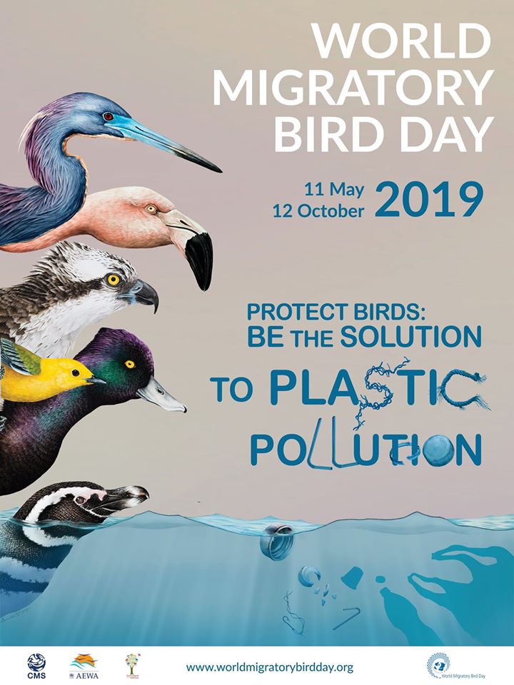 Dia Mundial Aves Migratórias 2019 out